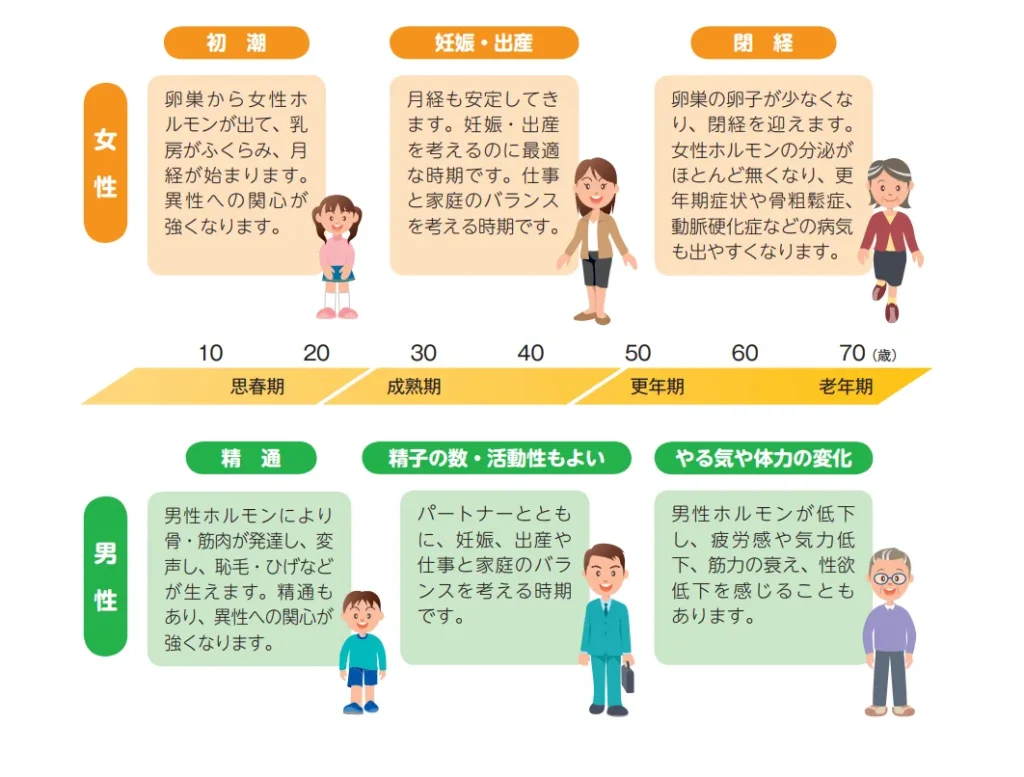 厚生労働省の男性と女性の体は違うことを示す画像でこれにより女性専門のパーソナルジムに通うメリットを明示する